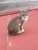 長谷川信洋
